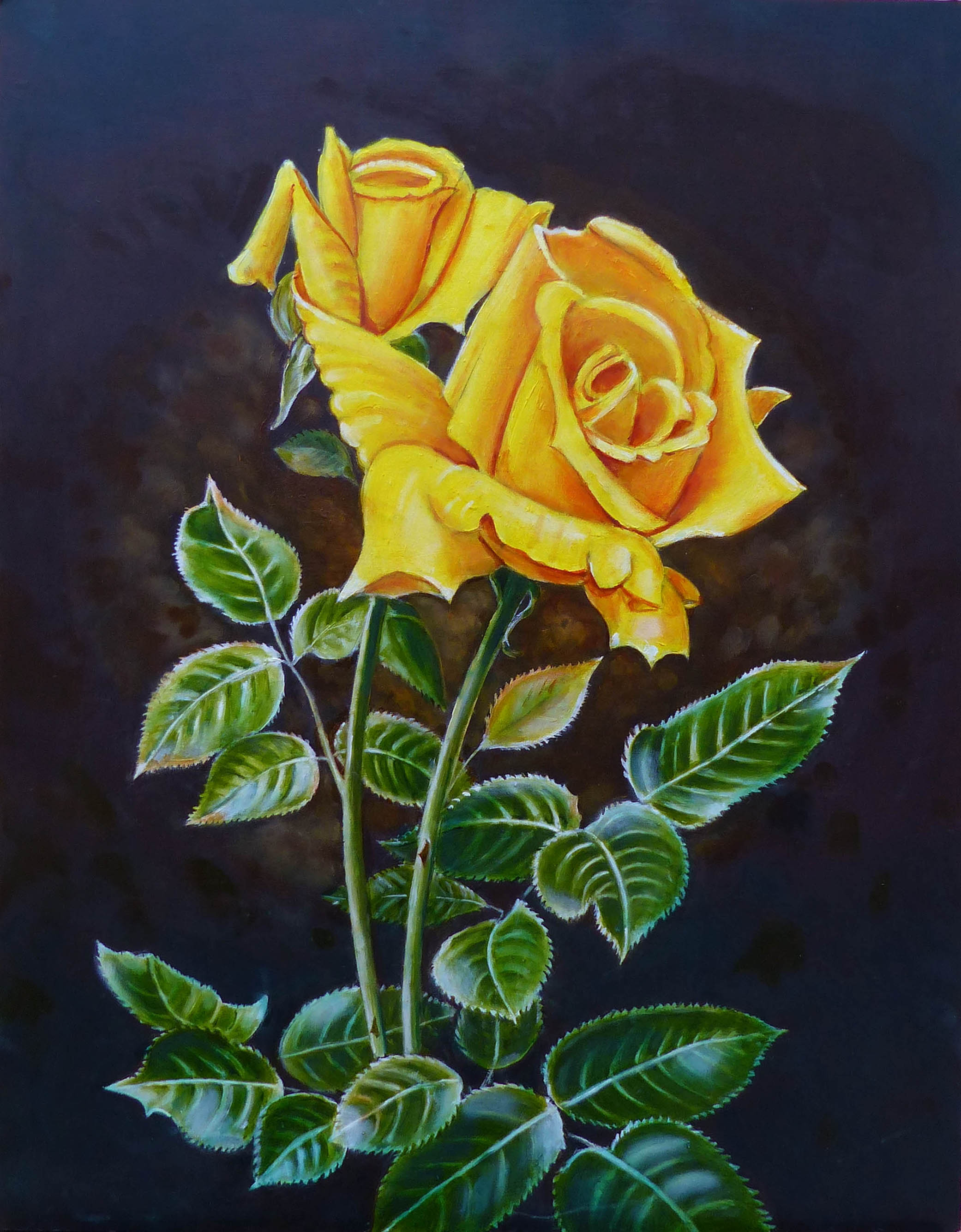 Ref: X0067. 'TEXAS ROSE'. Oils and Acrylic on MDF Board. Size: 18" x 24". Cost: £695.00. 
